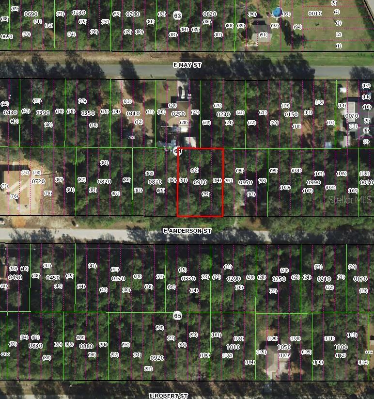 3301 E ANDERSON ST, INVERNESS, FL, 34453