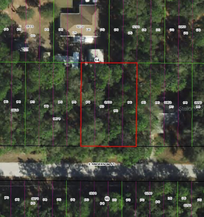 3301 E ANDERSON ST, INVERNESS, FL, 34453
