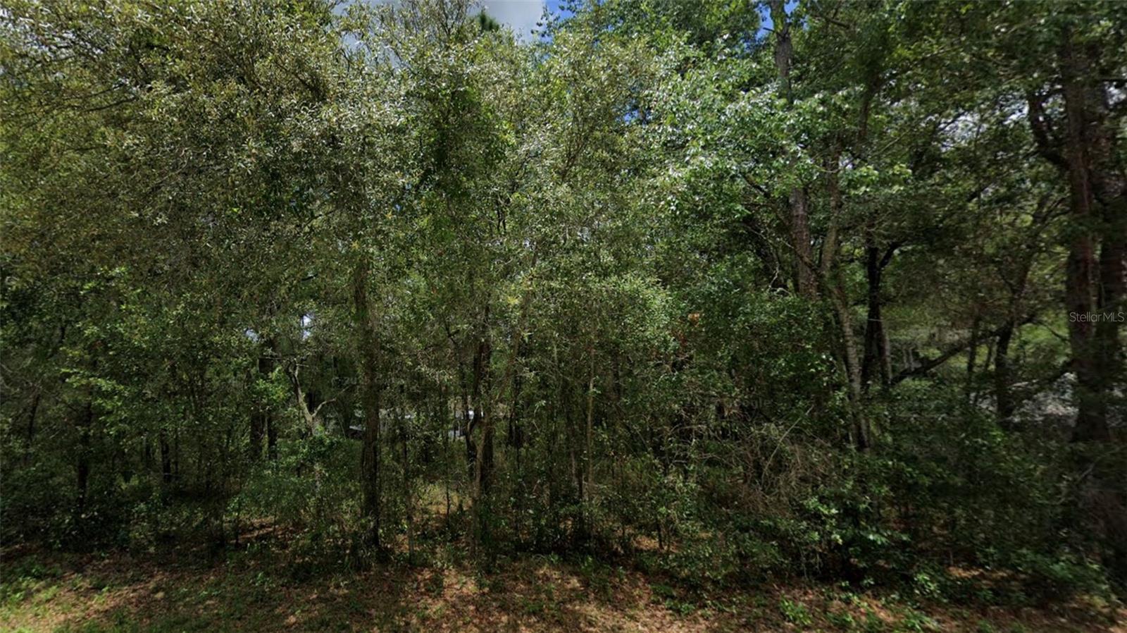 3301 E ANDERSON ST, INVERNESS, FL, 34453