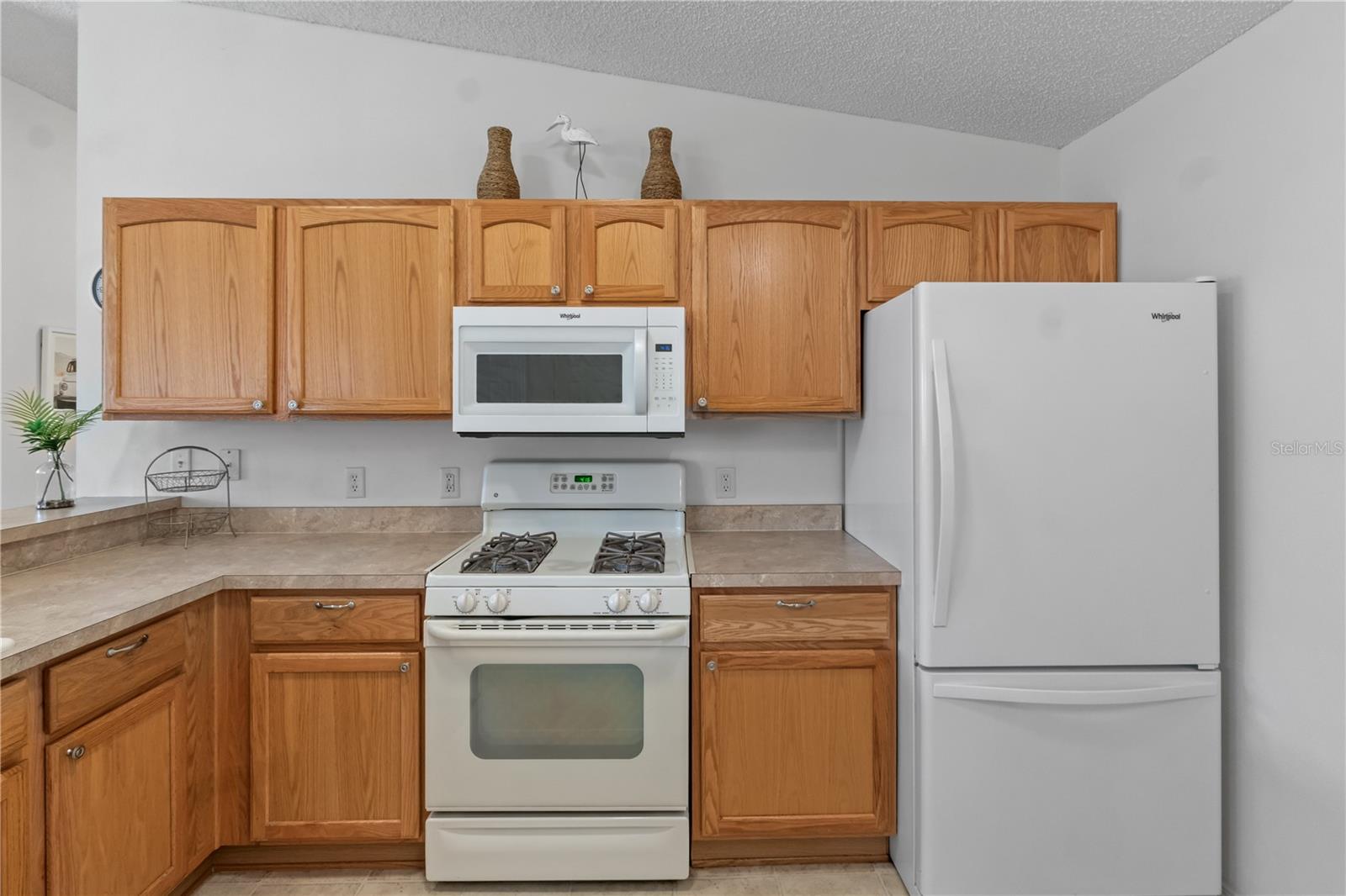 2343 DILLON LN, THE VILLAGES, FL, 32162