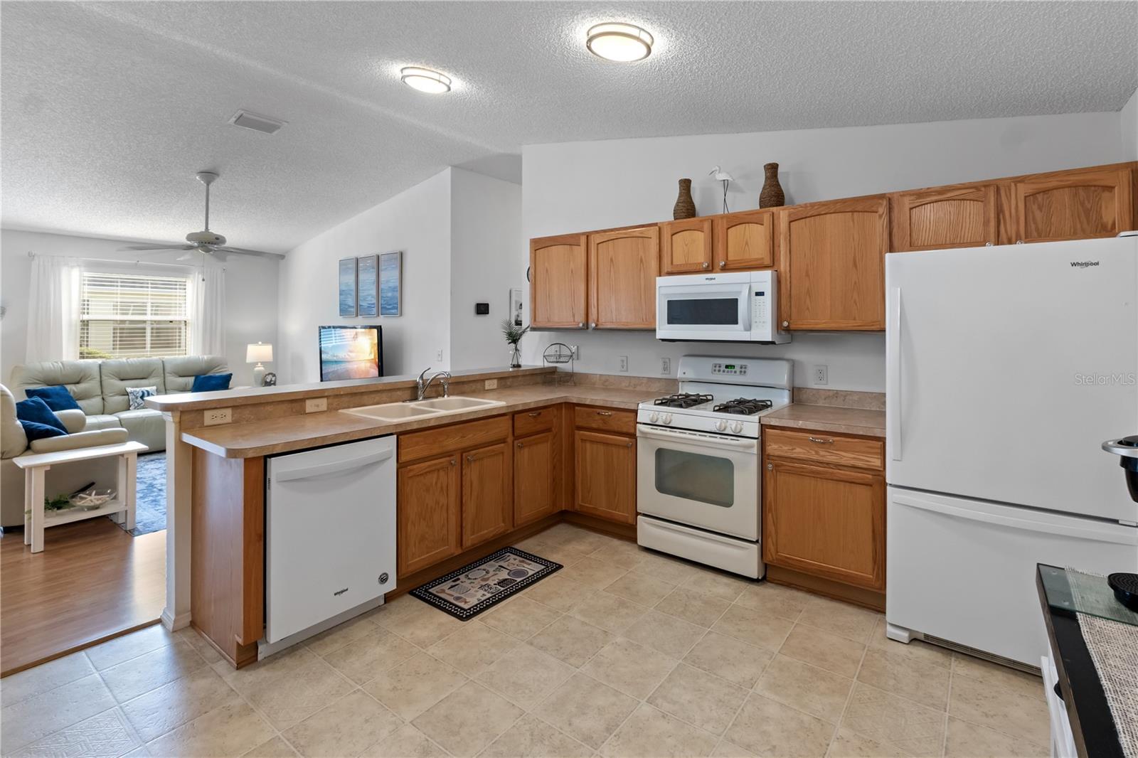 2343 DILLON LN, THE VILLAGES, FL, 32162