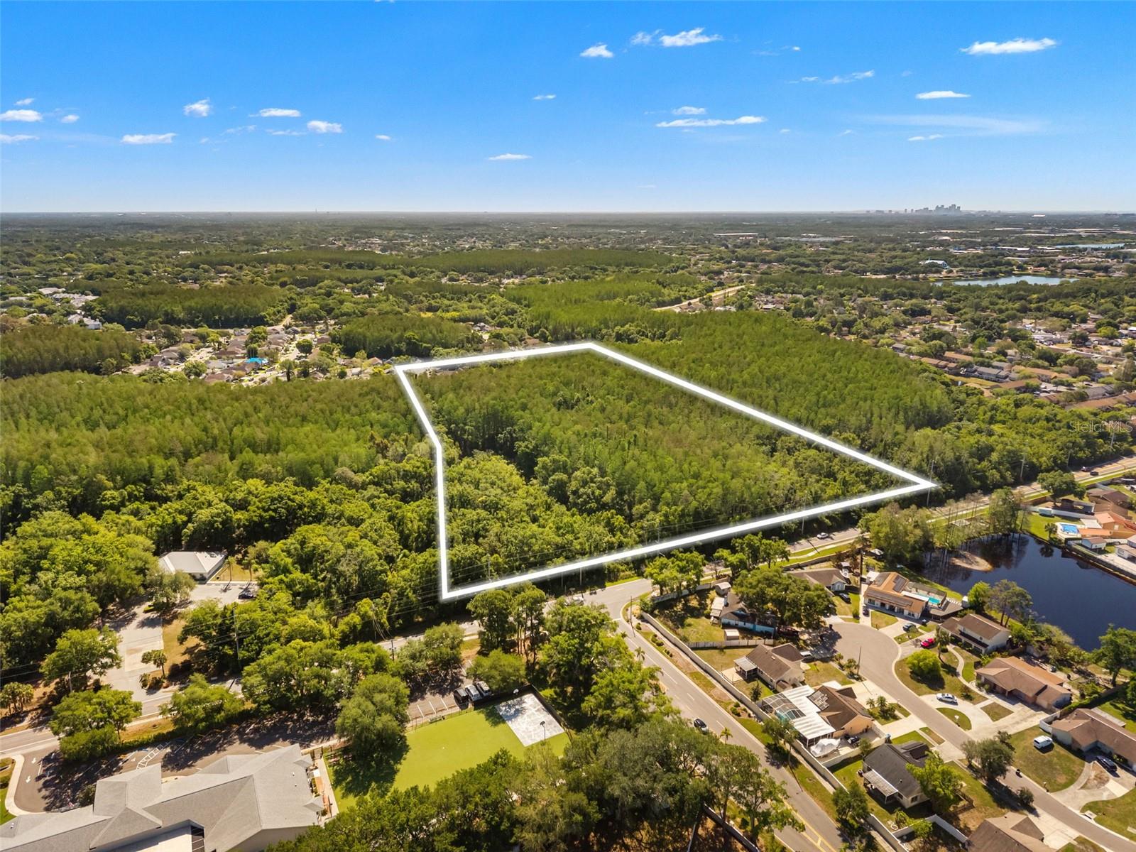 12591 HENDERSON RD, TAMPA, FL, 33619