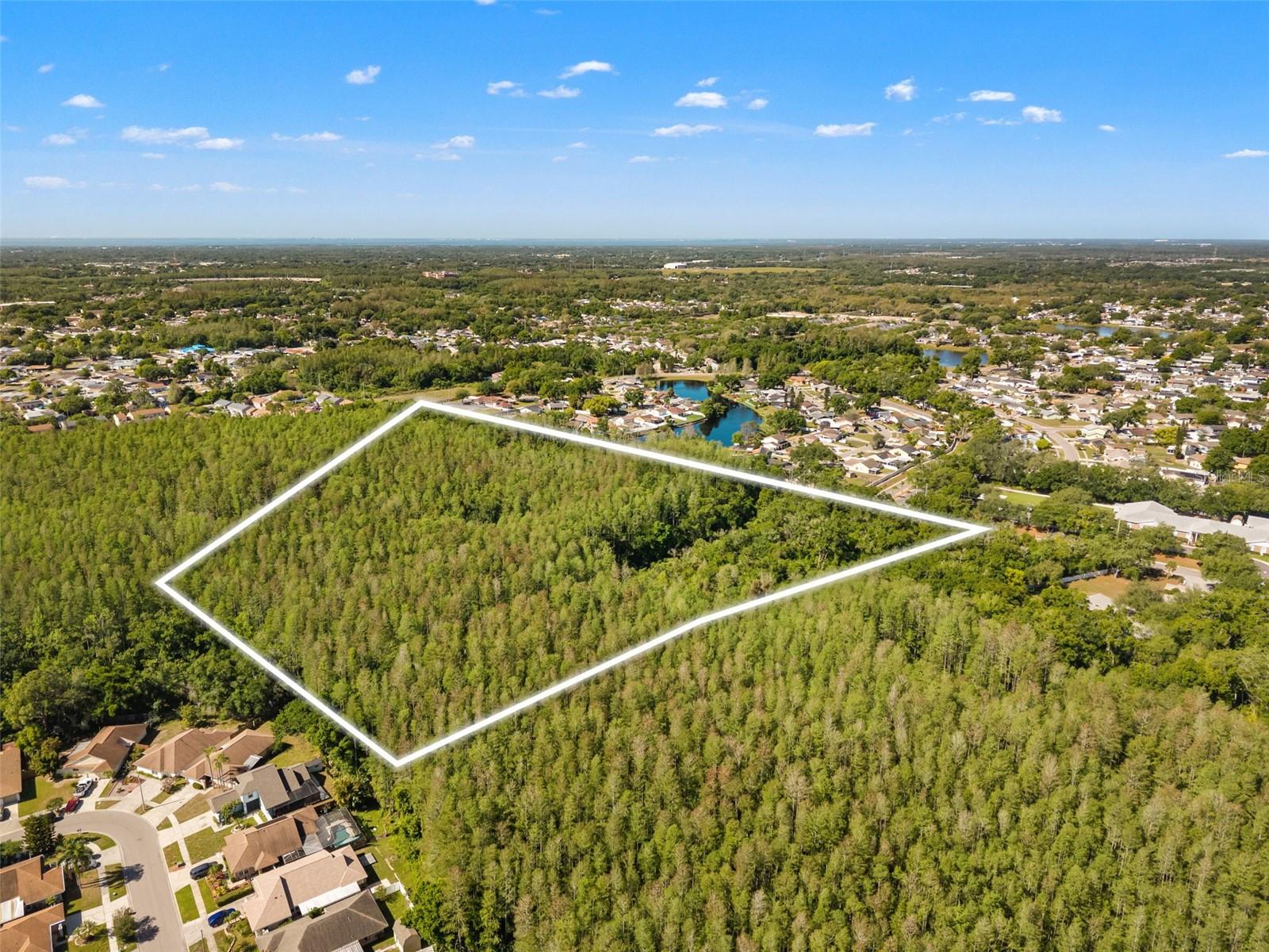 12591 HENDERSON RD, TAMPA, FL, 33619