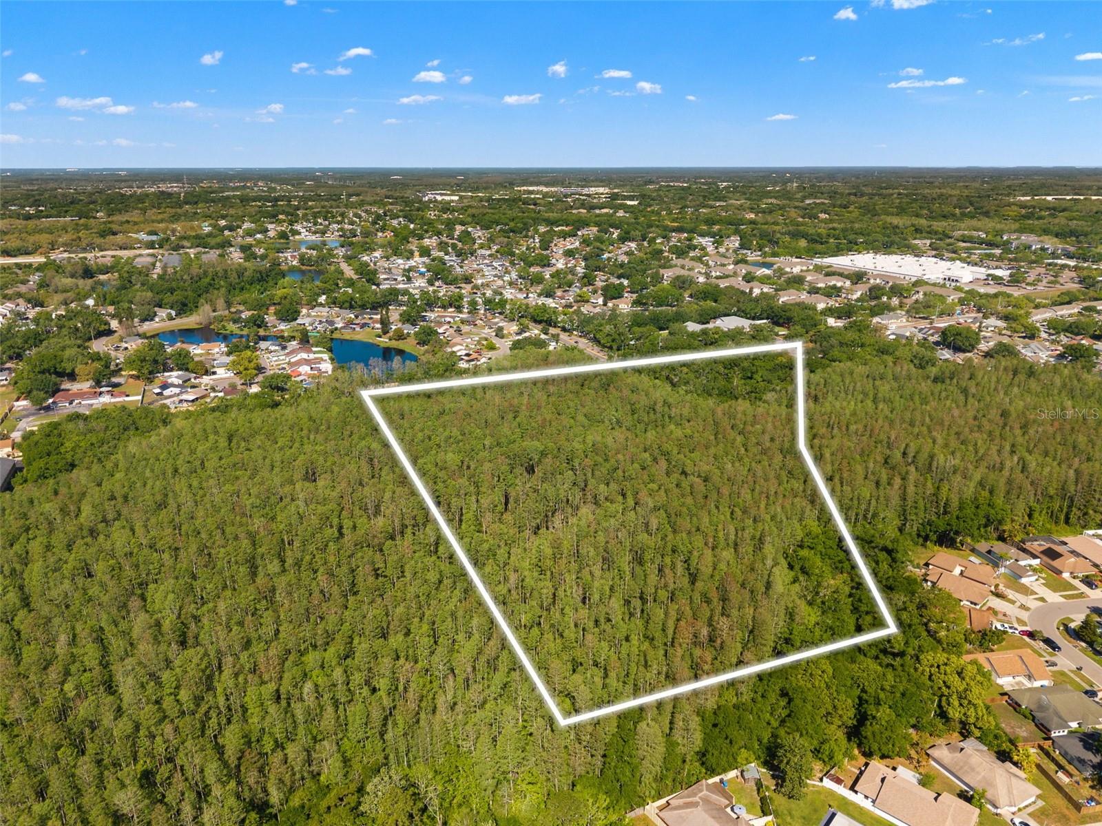 12591 HENDERSON RD, TAMPA, FL, 33619