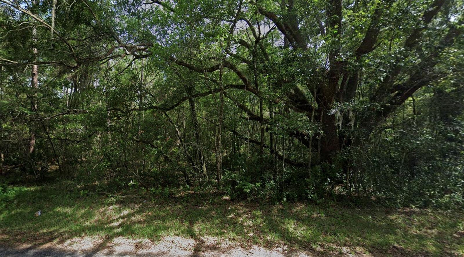 3958 E RYAN ST, INVERNESS, FL, 34453