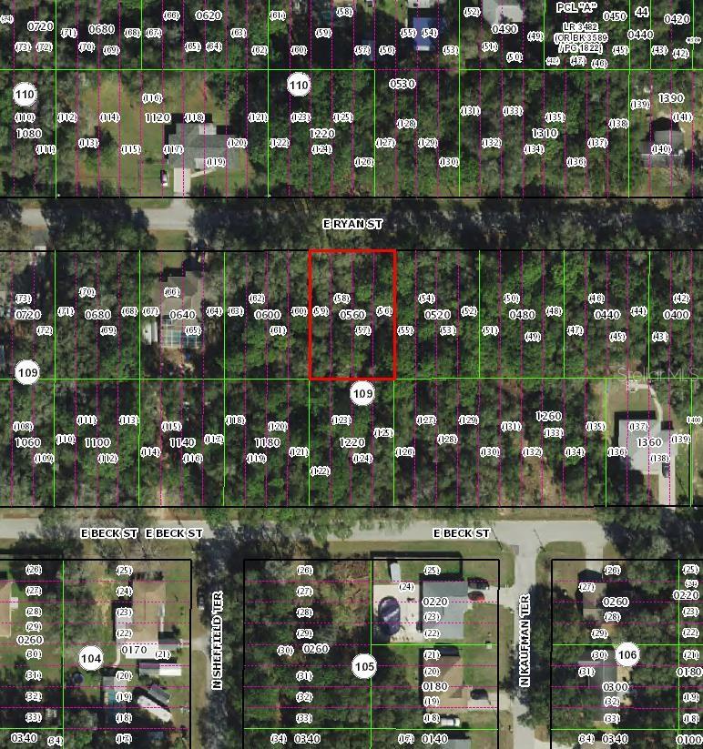 3958 E RYAN ST, INVERNESS, FL, 34453