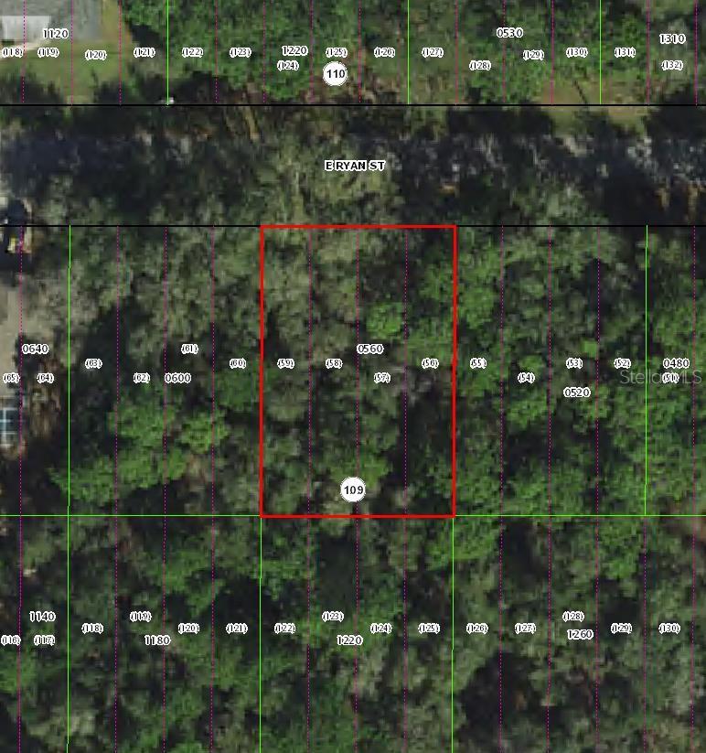 3958 E RYAN ST, INVERNESS, FL, 34453