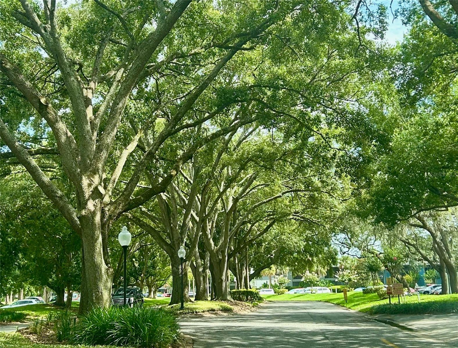 2565 OAK PARK WAY #213, ORLANDO, FL, 32822