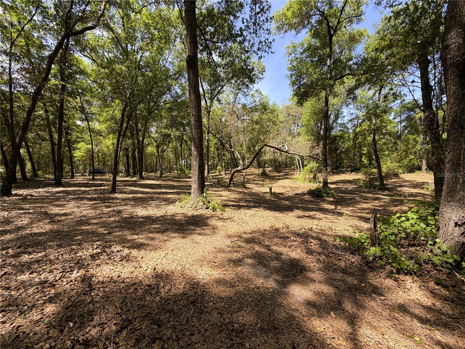 CYPRESS ST, KEYSTONE HEIGHTS, FL, 32656