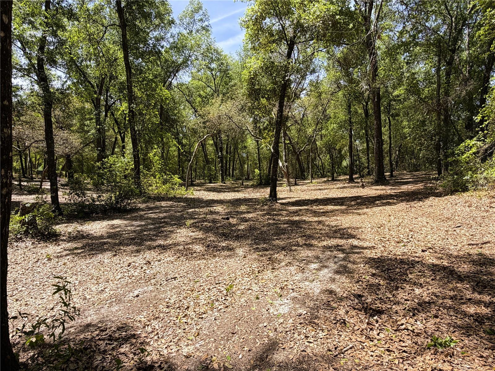 CYPRESS ST, KEYSTONE HEIGHTS, FL, 32656