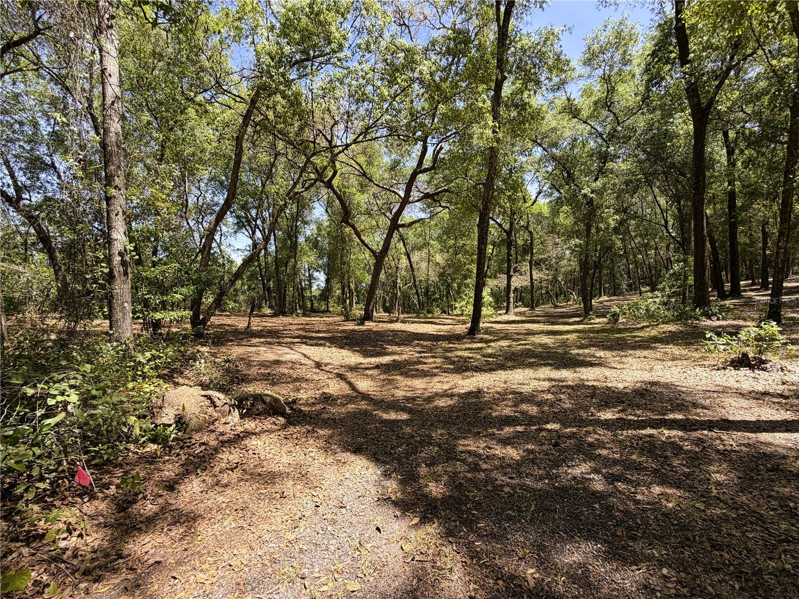 CYPRESS ST, KEYSTONE HEIGHTS, FL, 32656