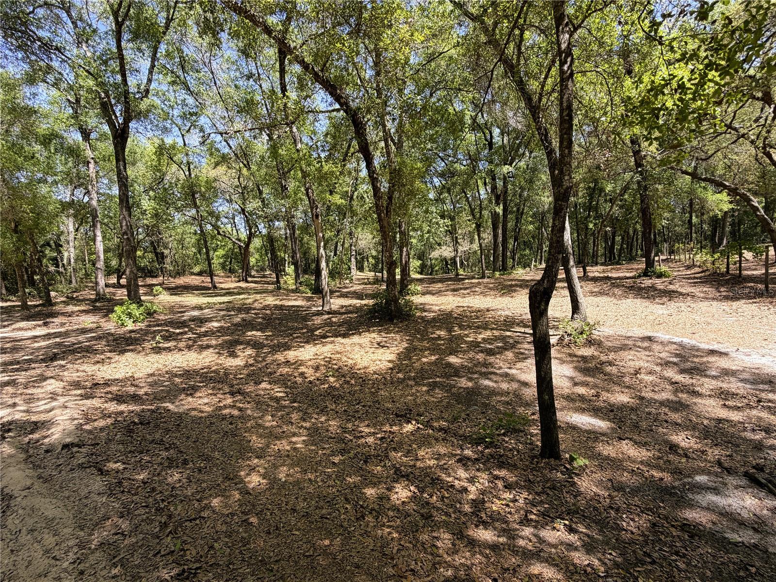 CYPRESS ST, KEYSTONE HEIGHTS, FL, 32656