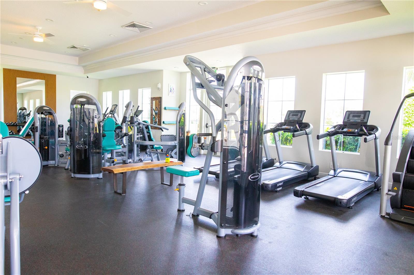 15665 CITRUS HARVEST RD, WINTER GARDEN, FL, 34787