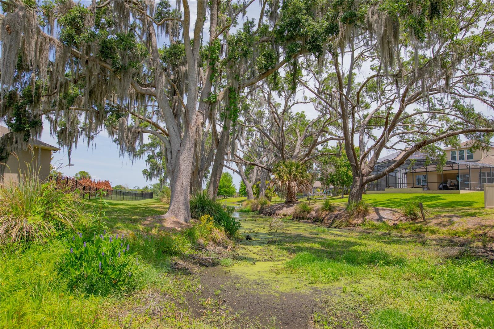 15665 CITRUS HARVEST RD, WINTER GARDEN, FL, 34787