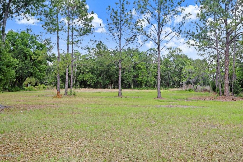 6204 W KNIGHTS GRIFFIN RD, PLANT CITY, FL, 33565