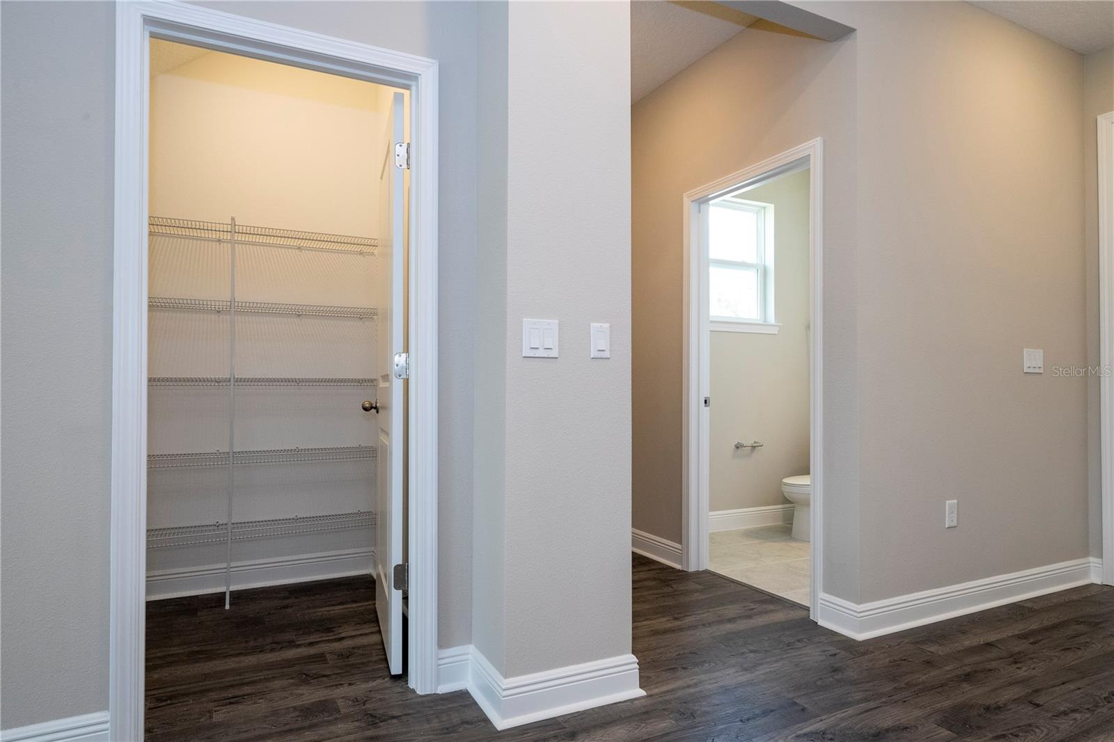 16350 HAMLIN VIEW ST, WINTER GARDEN, FL, 34787