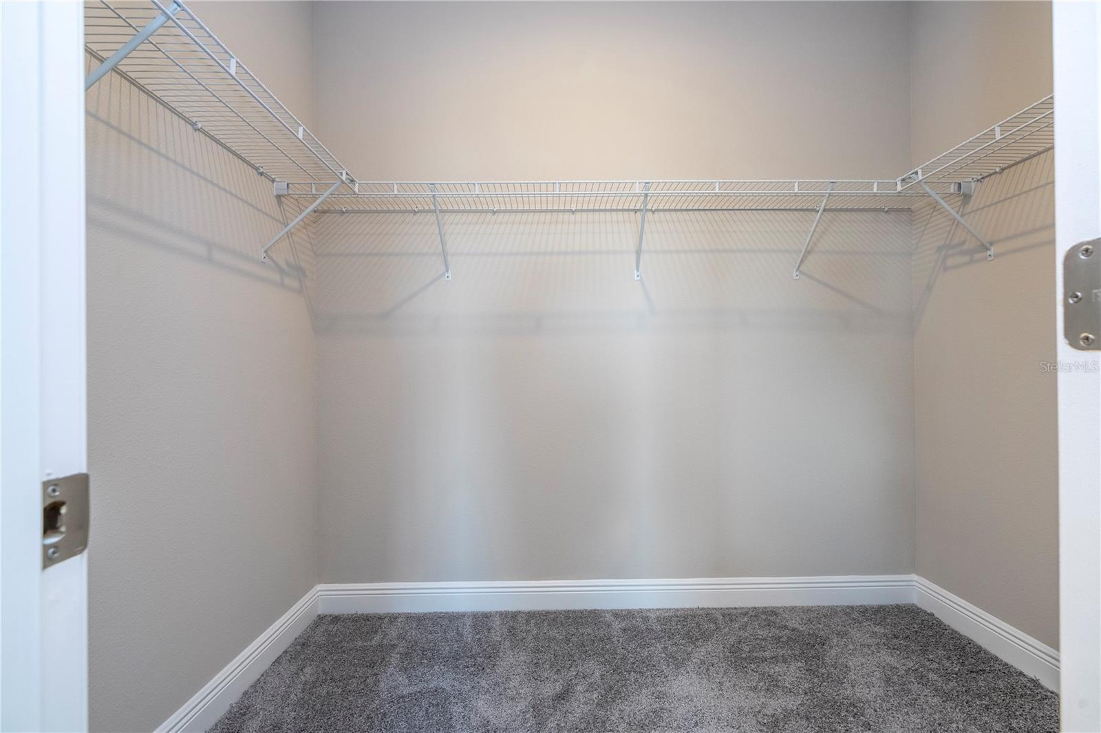 16350 HAMLIN VIEW ST, WINTER GARDEN, FL, 34787