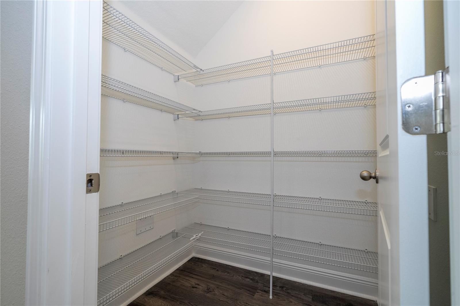 16350 HAMLIN VIEW ST, WINTER GARDEN, FL, 34787