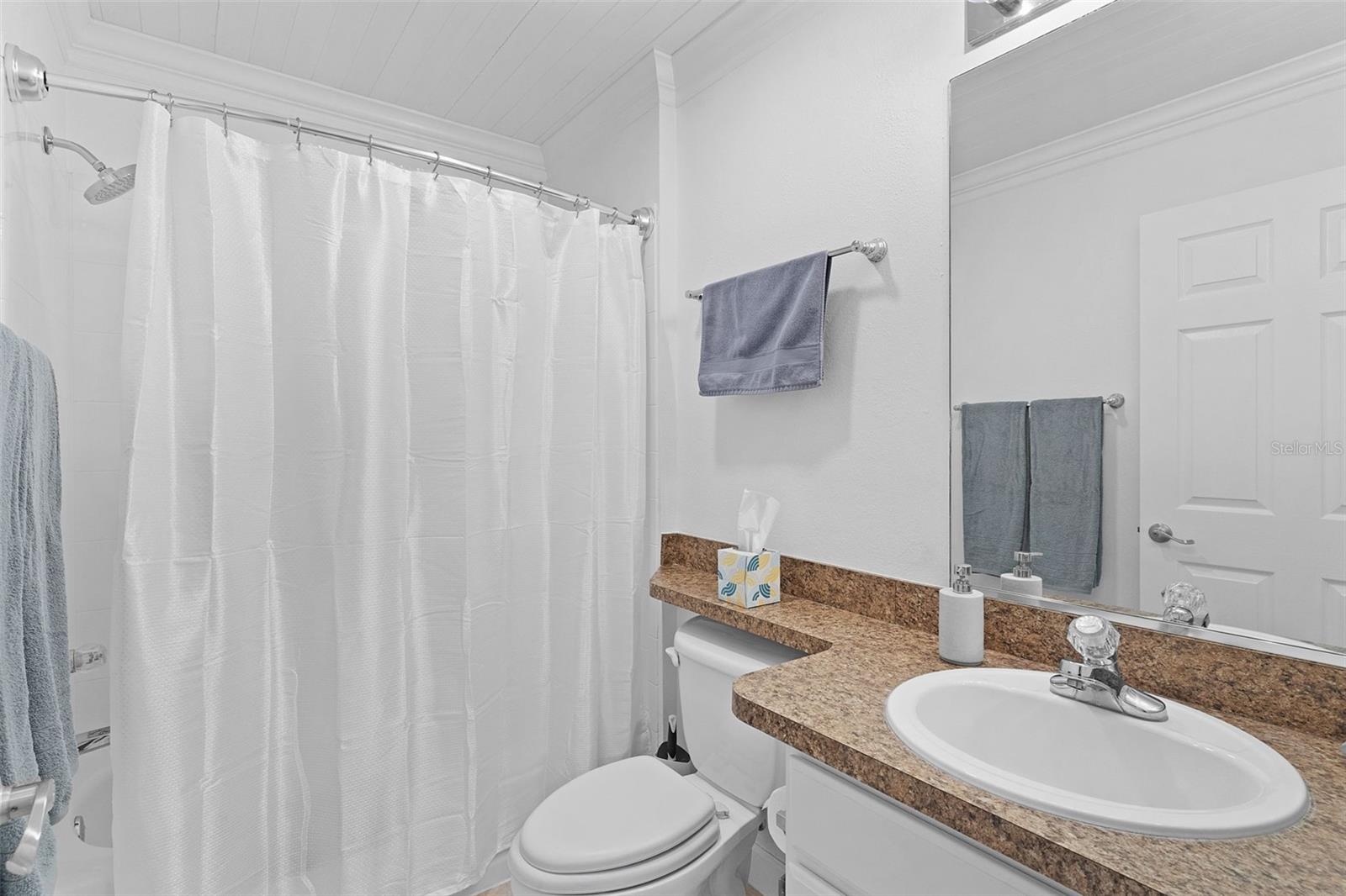 17107 SE 93RD EXETER CT, THE VILLAGES, FL, 32162