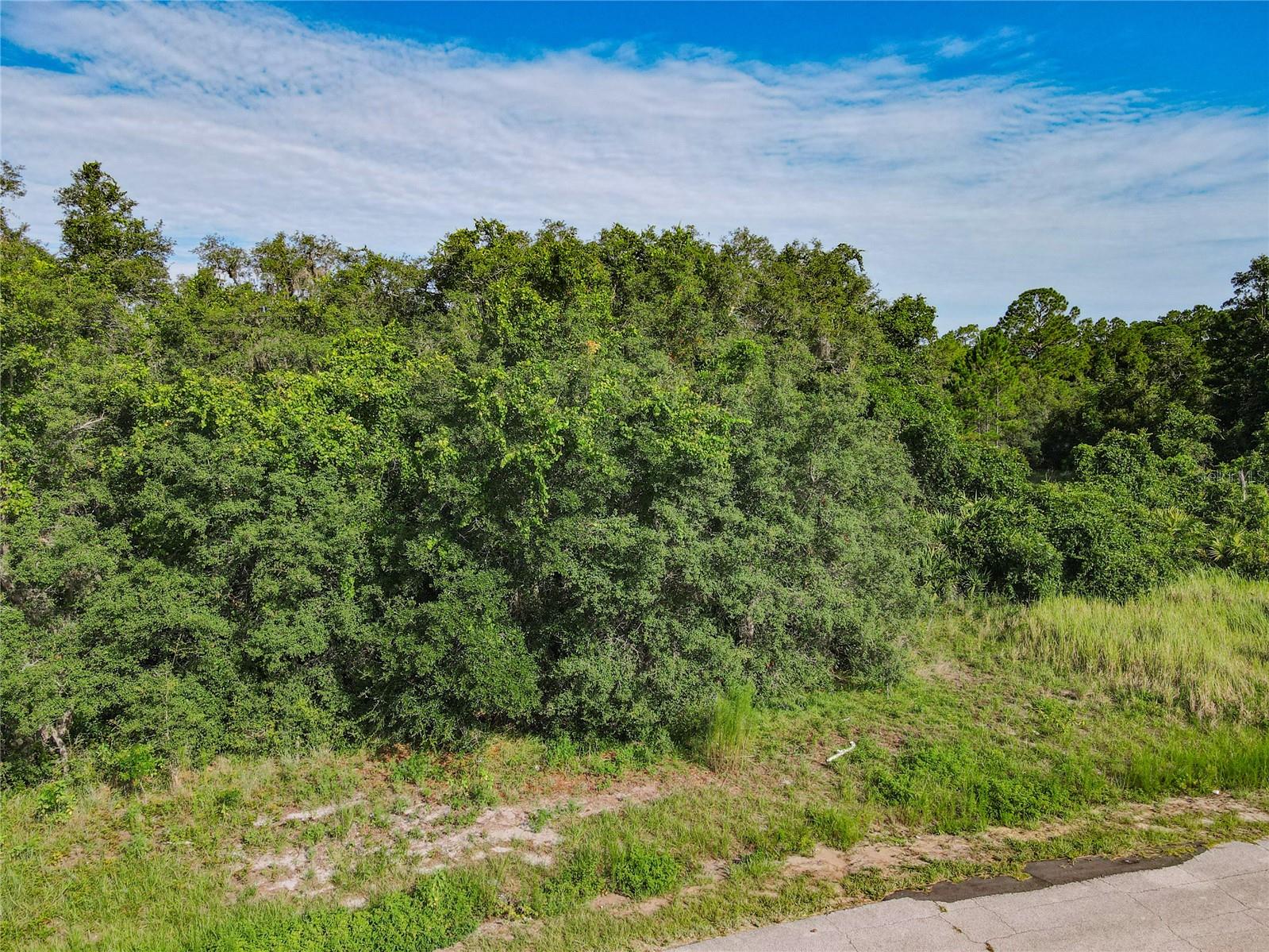 0 HUDSON VALLEY DR, KISSIMMEE, FL, 34759