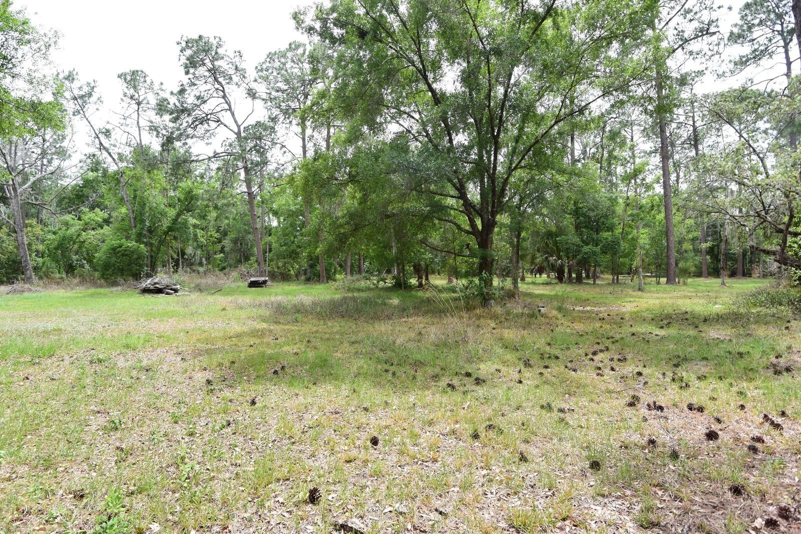 6832 QUAIL HOLLOW BLVD, WESLEY CHAPEL, FL, 33544