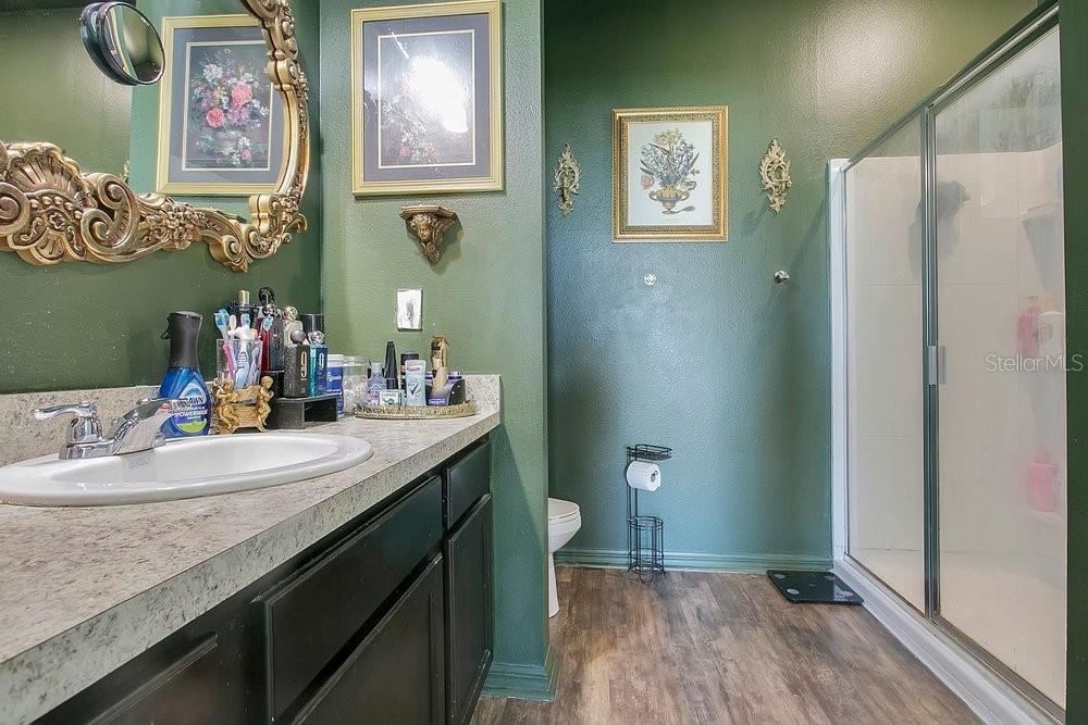 258 HIDDEN LAKE LOOP, HAINES CITY, FL, 33844