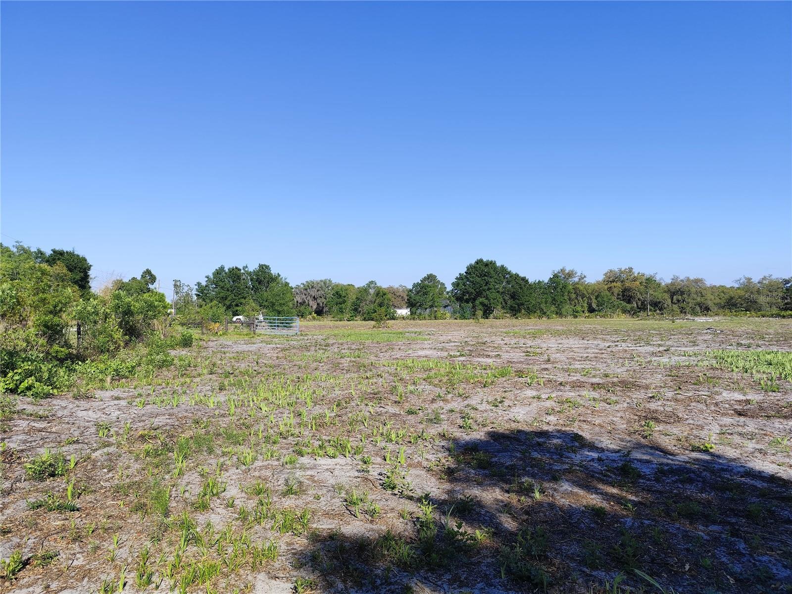 4535 SARVER AVE, LAKE WALES, FL, 33859