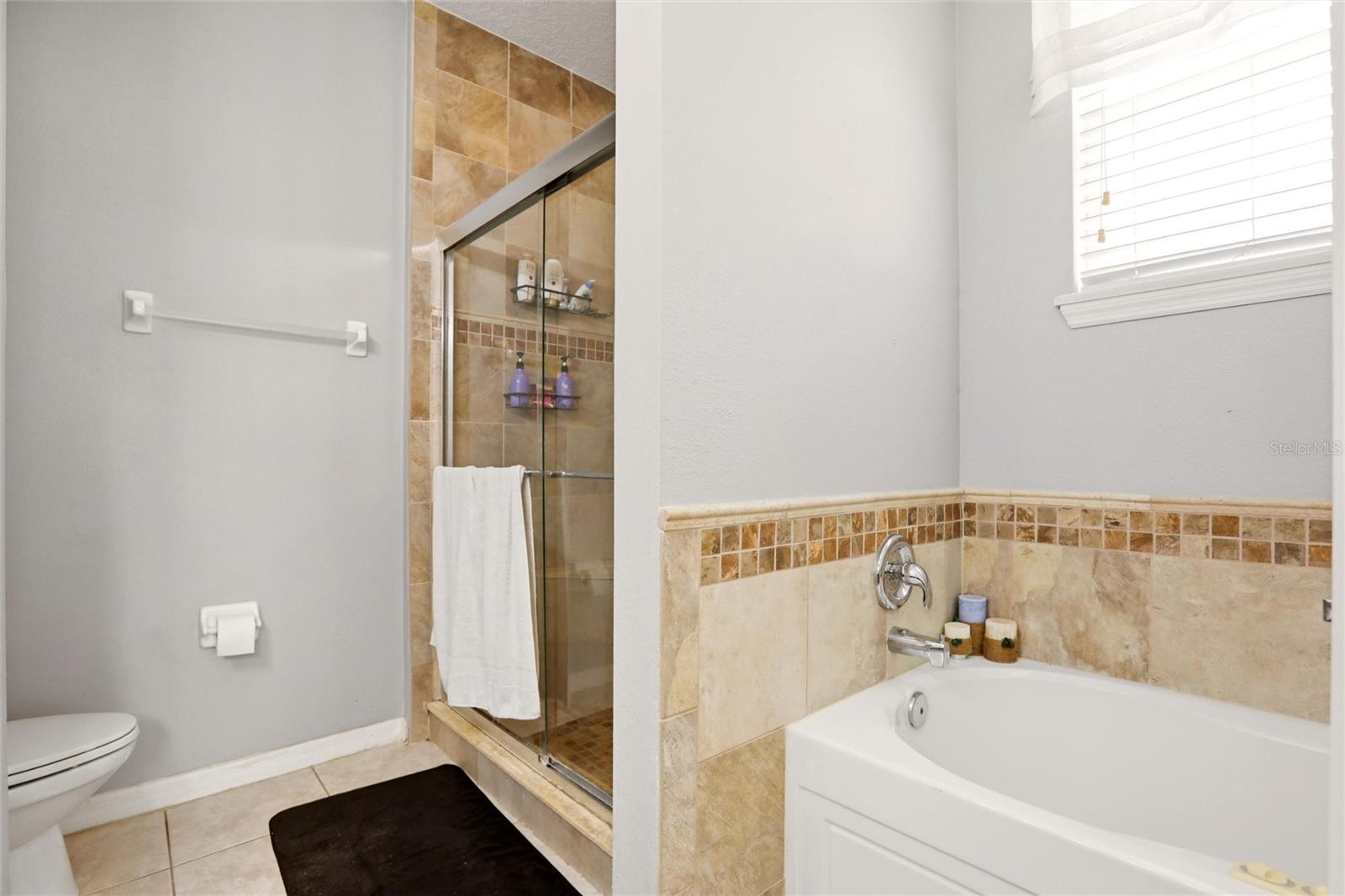 1550 MADISON IVY CIR, APOPKA, FL, 32712
