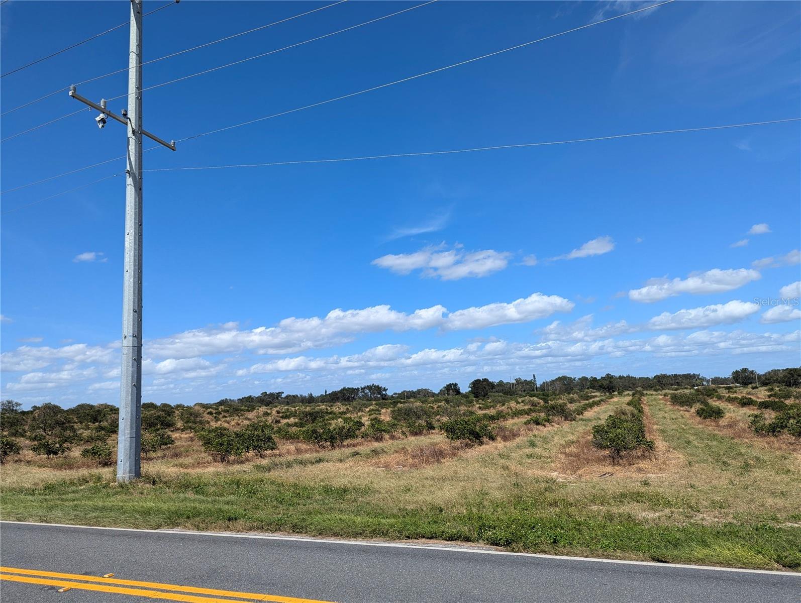 3162 POWER LINE RD, AVON PARK, FL, 33825