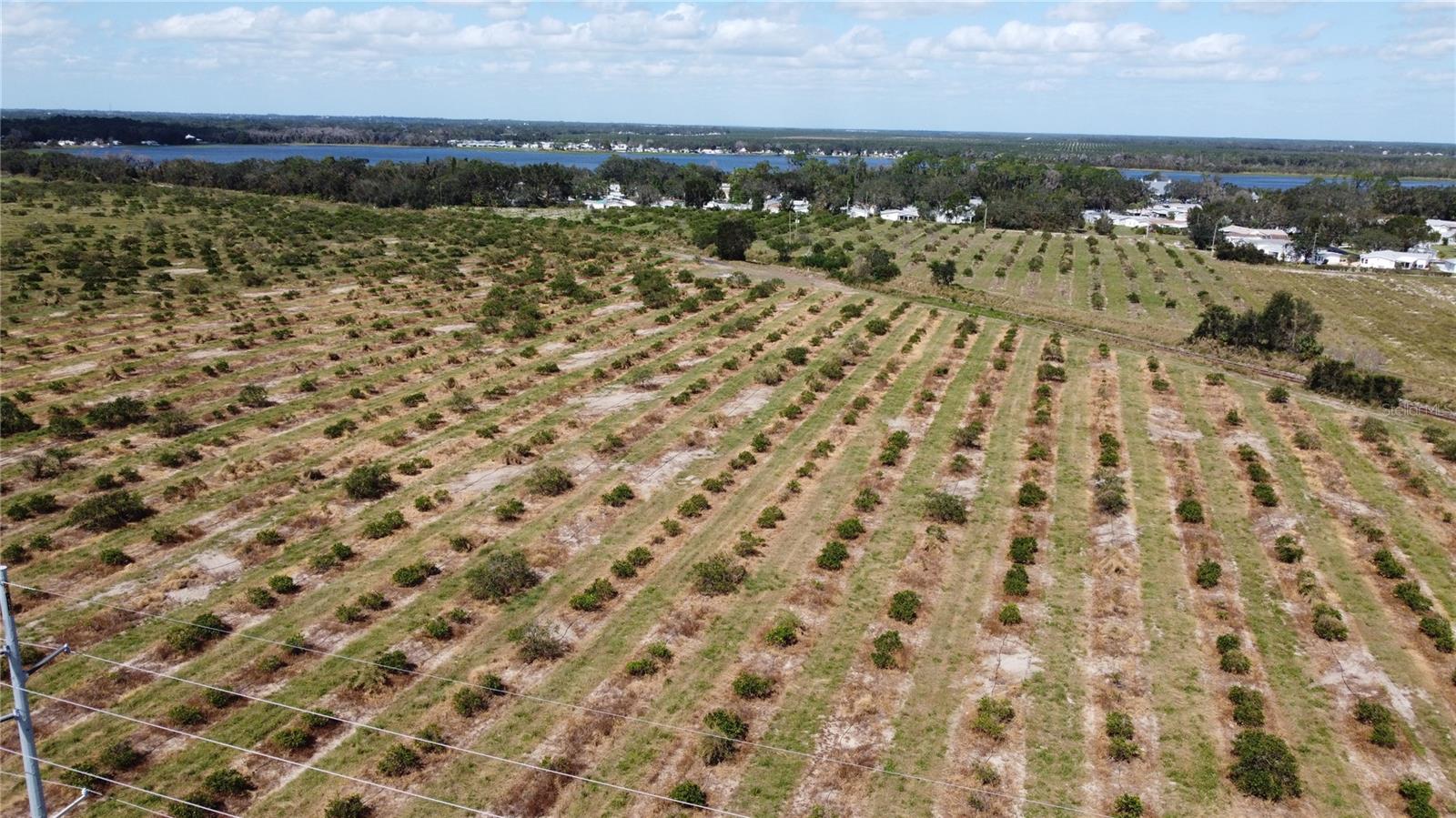 3162 POWER LINE RD, AVON PARK, FL, 33825