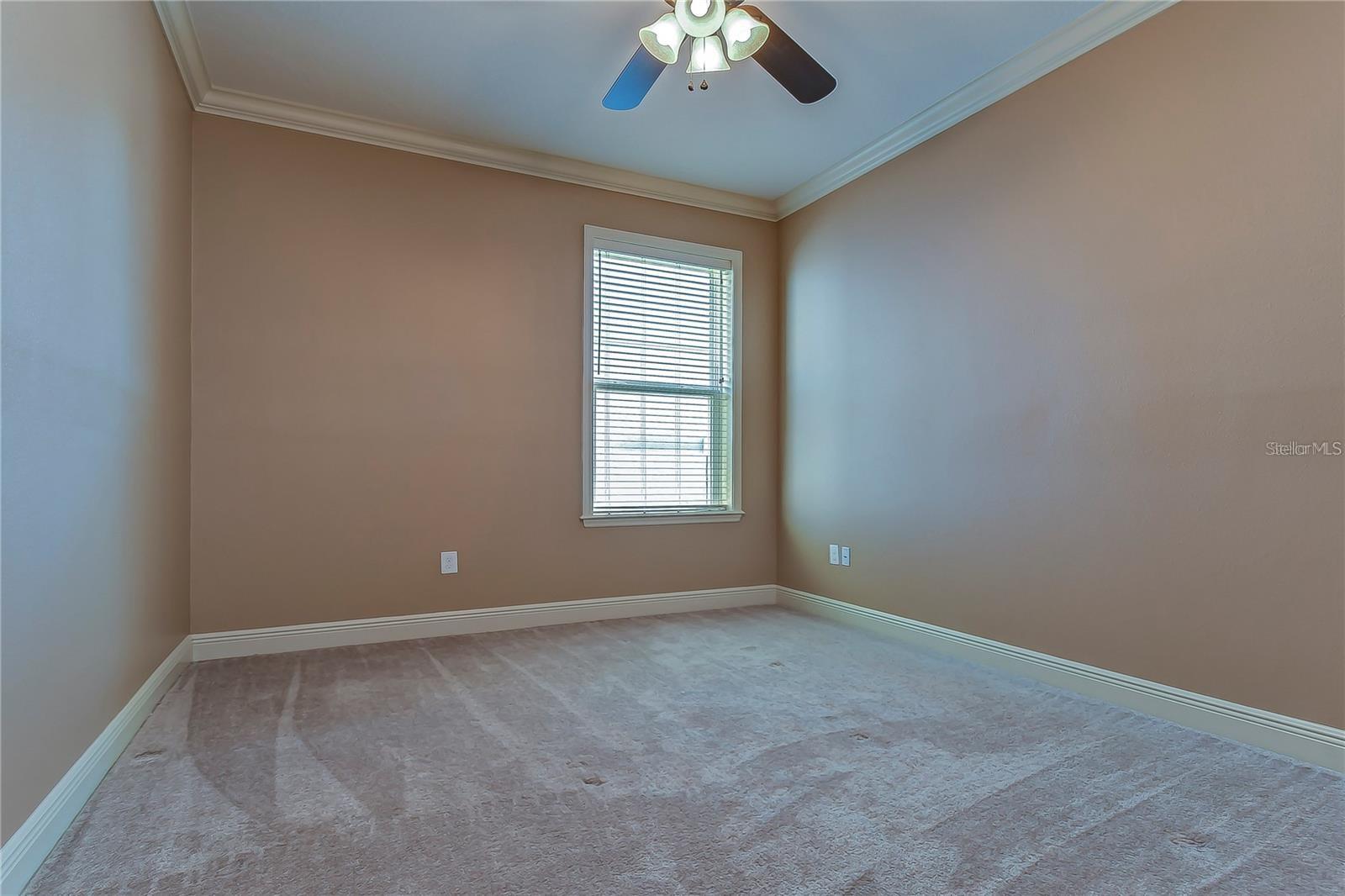 19391 LONG LAKE RANCH BLVD, LUTZ, FL, 33558