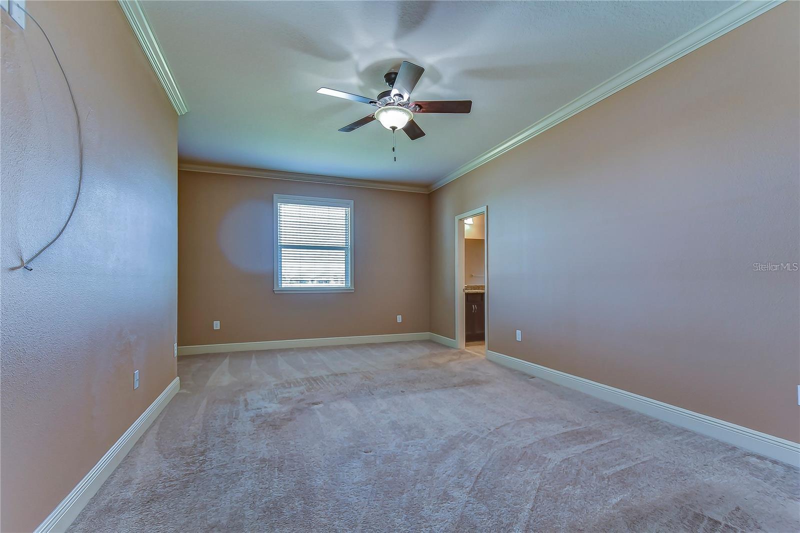 19391 LONG LAKE RANCH BLVD, LUTZ, FL, 33558