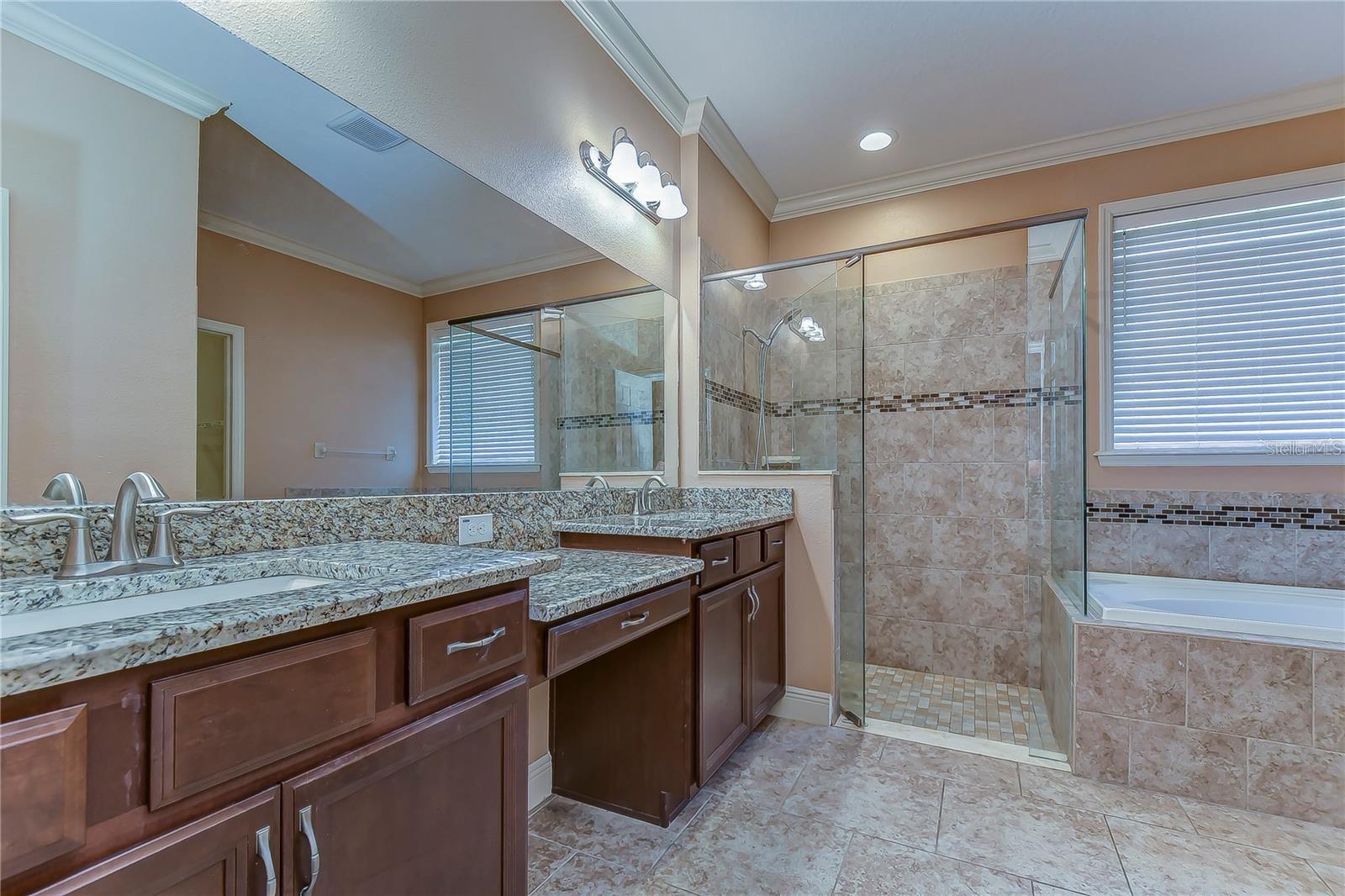 19391 LONG LAKE RANCH BLVD, LUTZ, FL, 33558