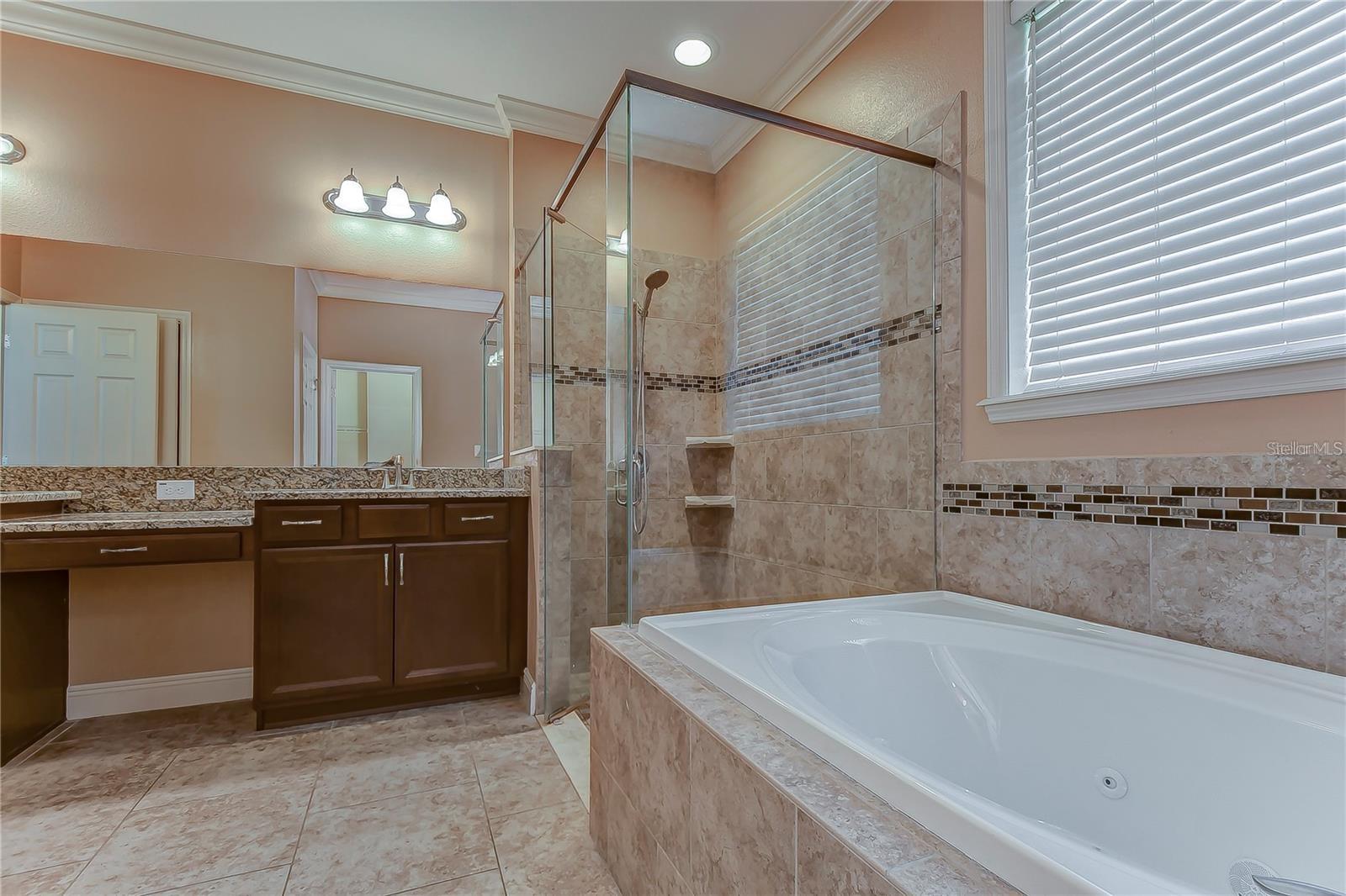 19391 LONG LAKE RANCH BLVD, LUTZ, FL, 33558