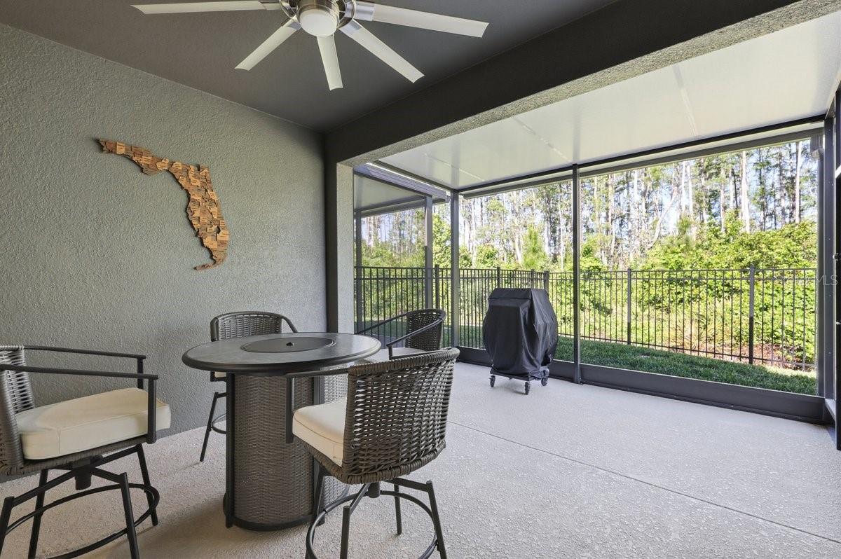 3421 TWIN FLOWER, CLERMONT, FL, 34714