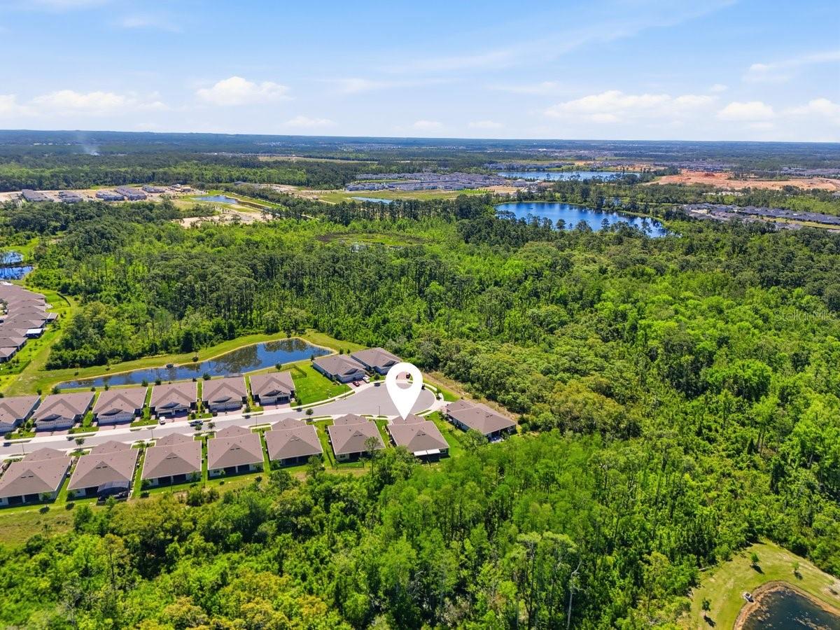 3421 TWIN FLOWER, CLERMONT, FL, 34714