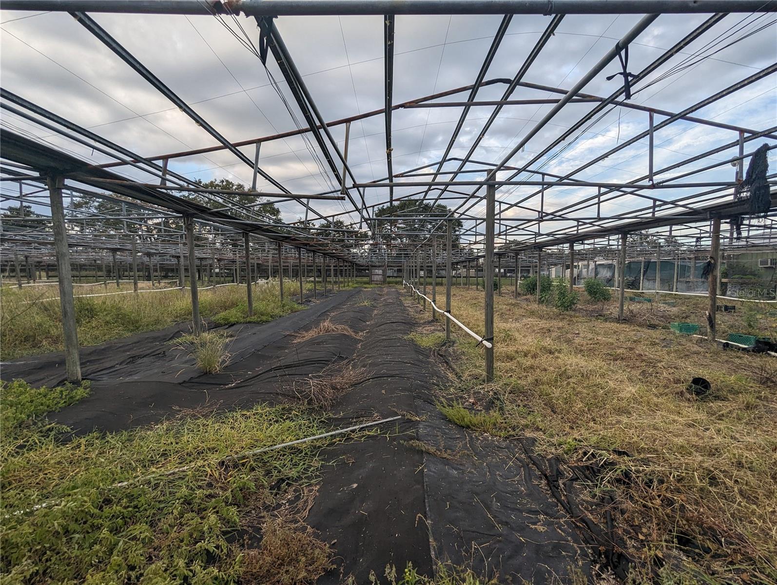 16070 CARLTON LAKE RD, WIMAUMA, FL, 33598