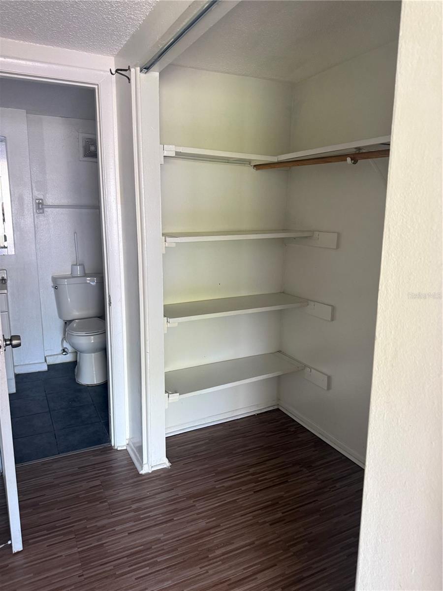 5504 LOBLOLLY CT #204, TAMPA, FL, 33617