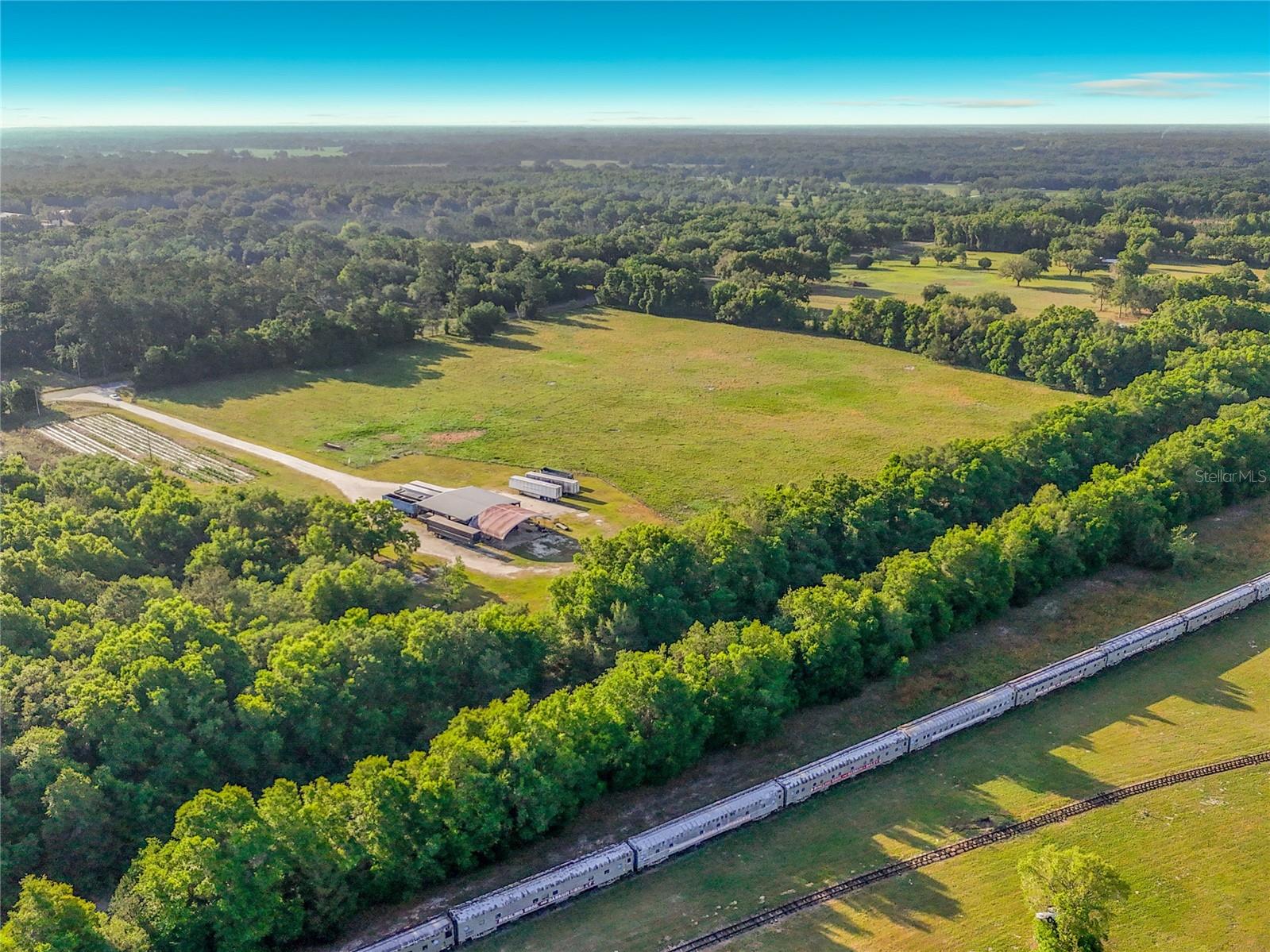 TBD NE 200TH AVE, WILLISTON, FL, 32696