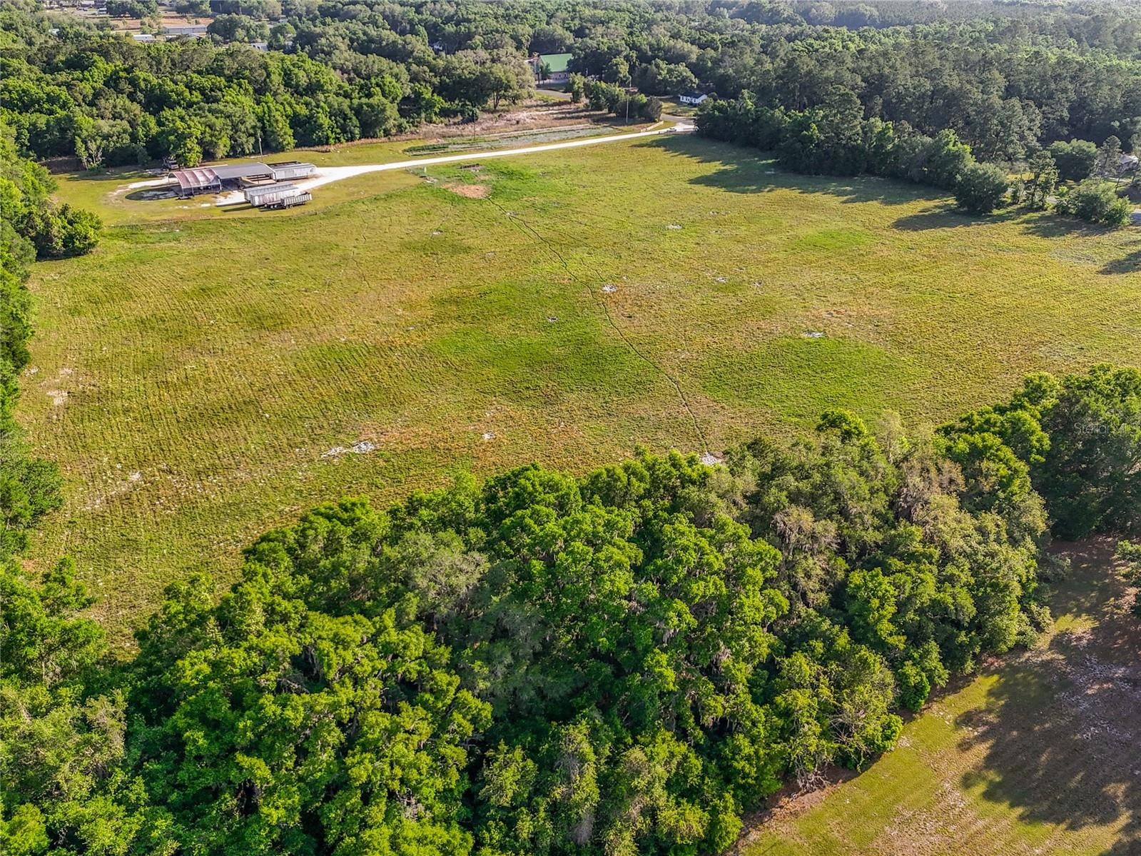 TBD NE 200TH AVE, WILLISTON, FL, 32696
