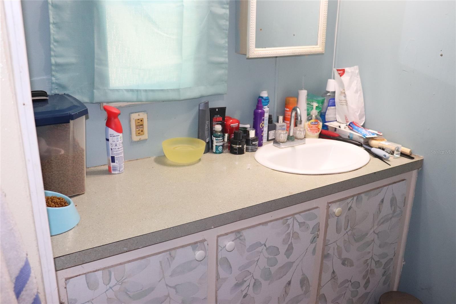 2466 CR 401A, LAKE PANASOFFKEE, FL, 33538