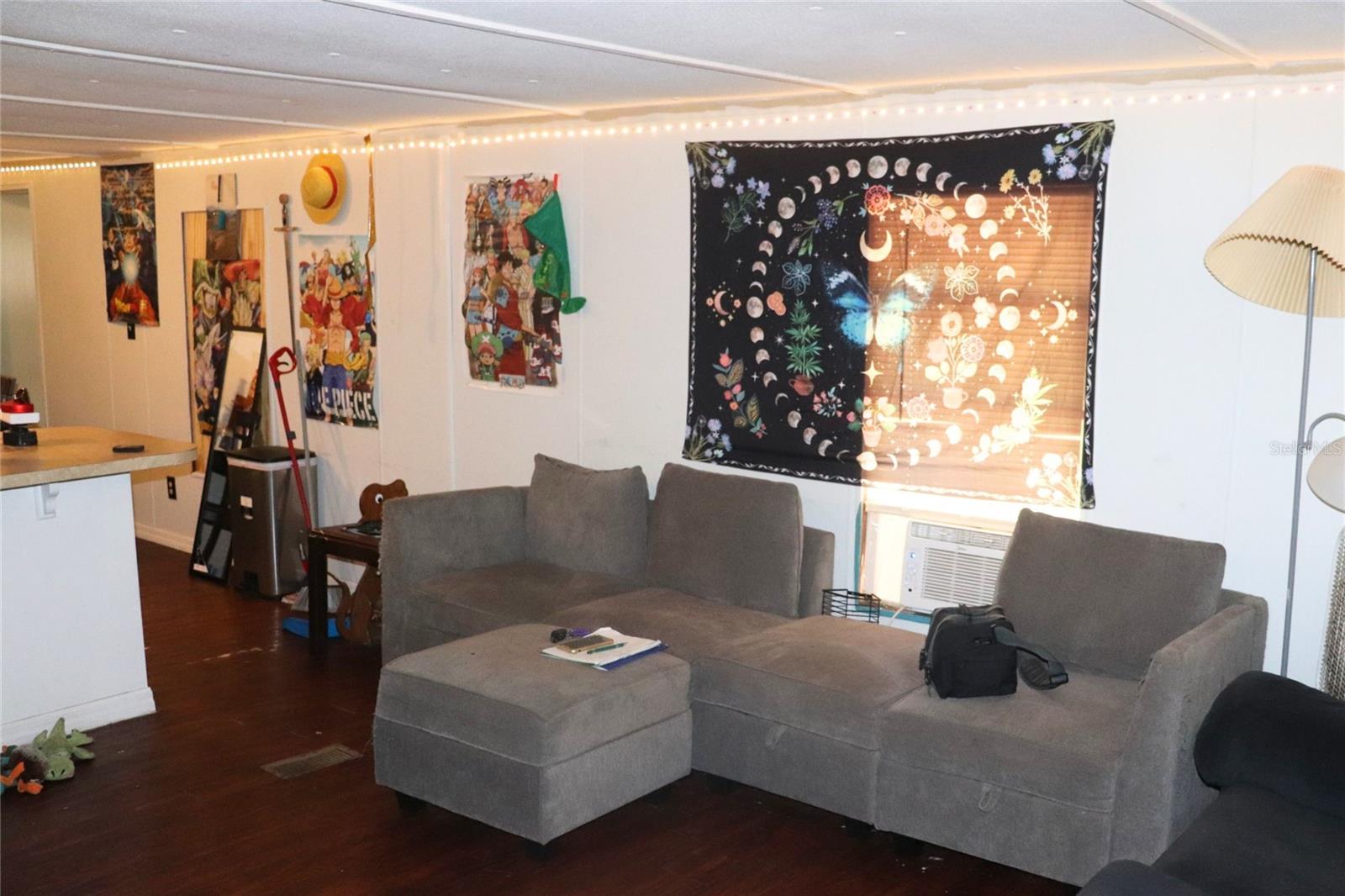 2466 CR 401A, LAKE PANASOFFKEE, FL, 33538