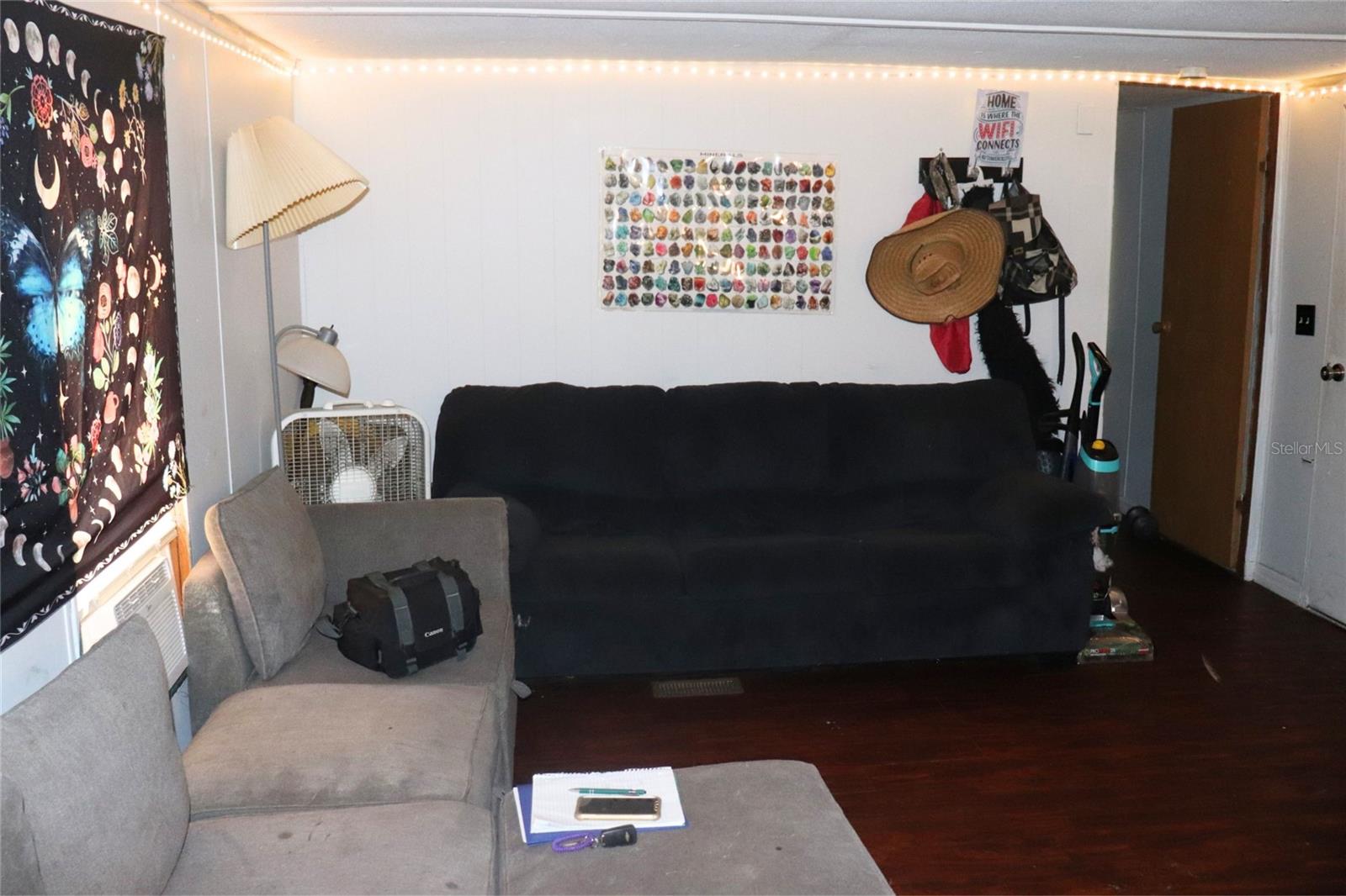 2466 CR 401A, LAKE PANASOFFKEE, FL, 33538