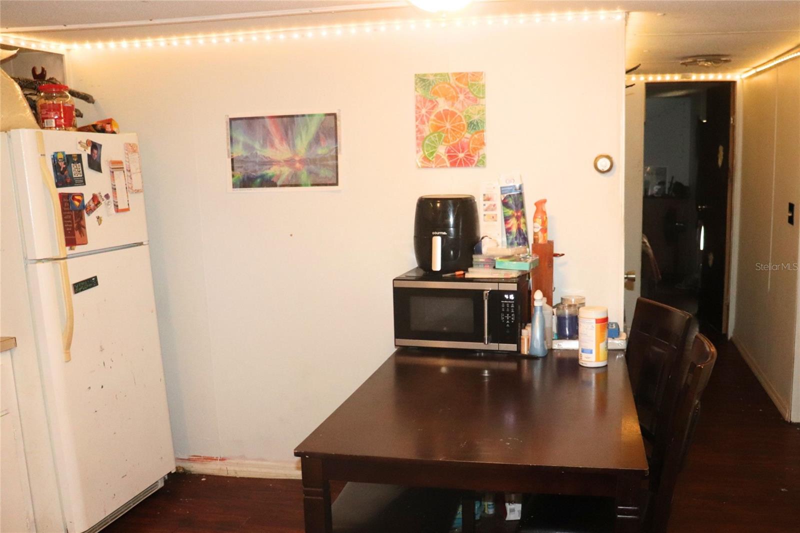 2466 CR 401A, LAKE PANASOFFKEE, FL, 33538