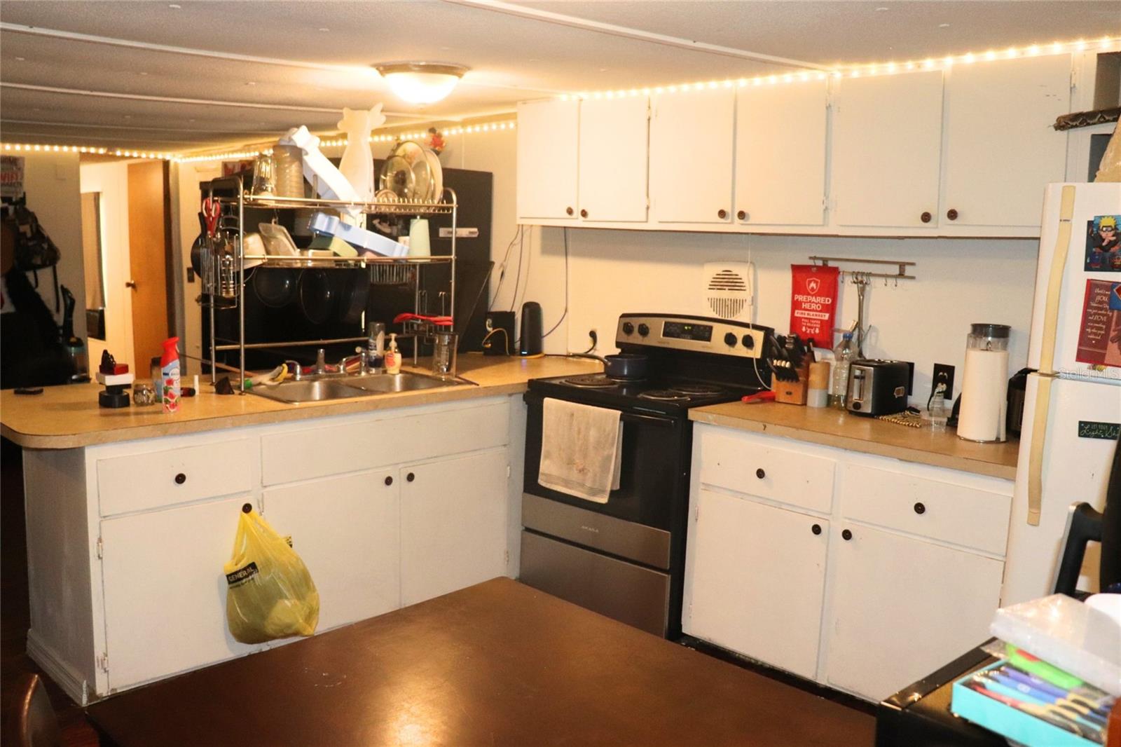 2466 CR 401A, LAKE PANASOFFKEE, FL, 33538