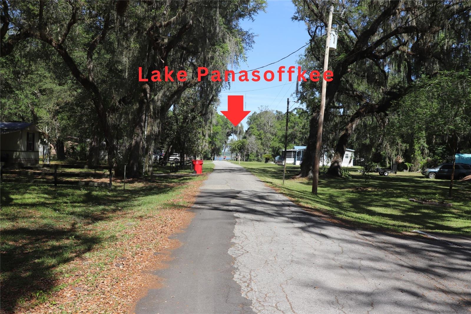 2466 CR 401A, LAKE PANASOFFKEE, FL, 33538
