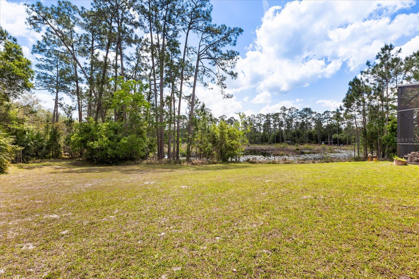 420 VALLEY STREAM DR, GENEVA, FL, 32732