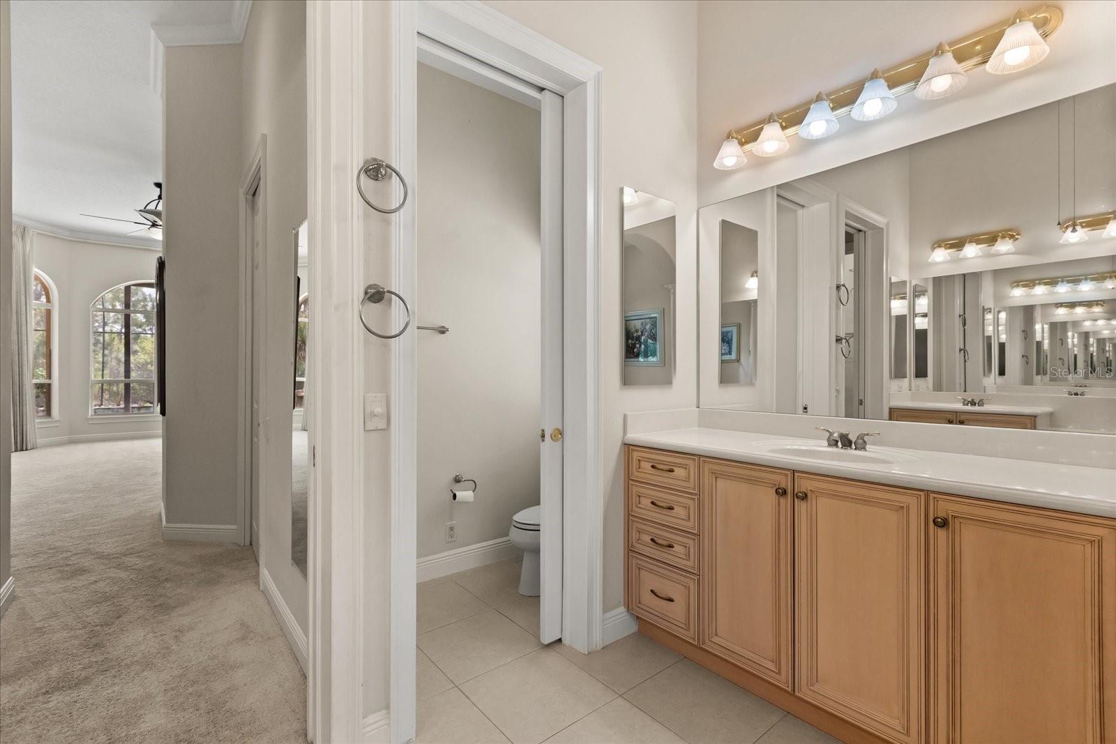 420 VALLEY STREAM DR, GENEVA, FL, 32732