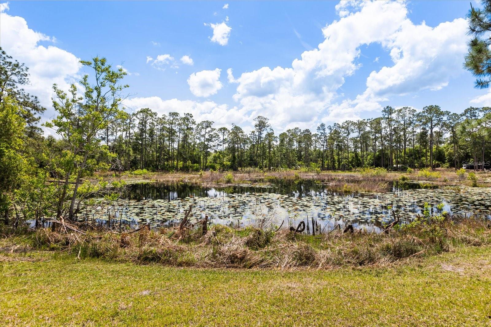 420 VALLEY STREAM DR, GENEVA, FL, 32732