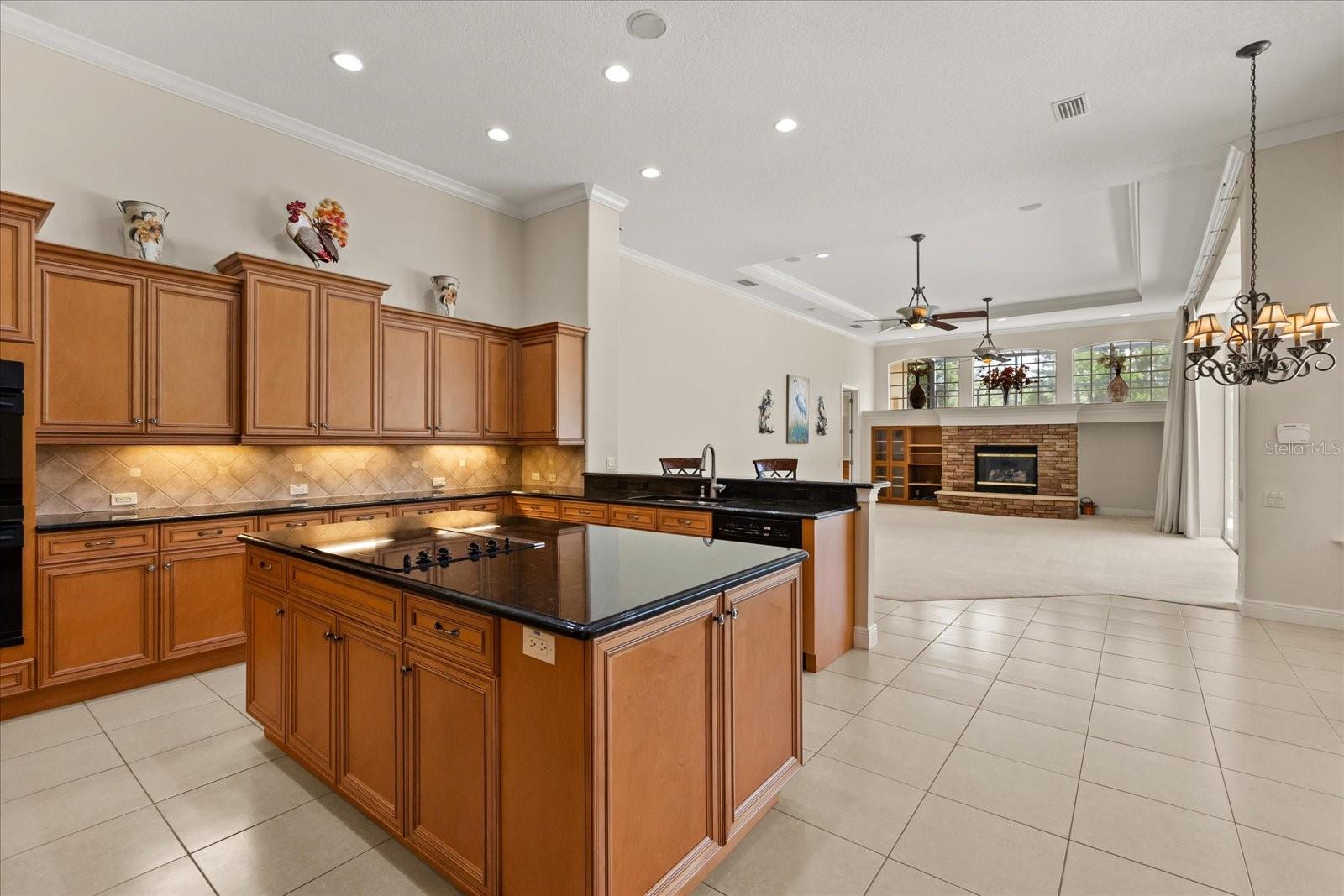 420 VALLEY STREAM DR, GENEVA, FL, 32732